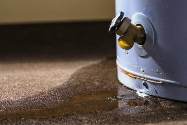 Best Flooded house restoration  in Ardia, CA