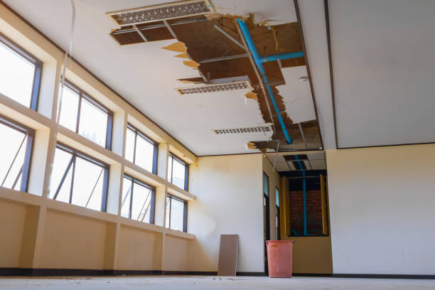 Best Professional water damage repair  in Ardia, CA