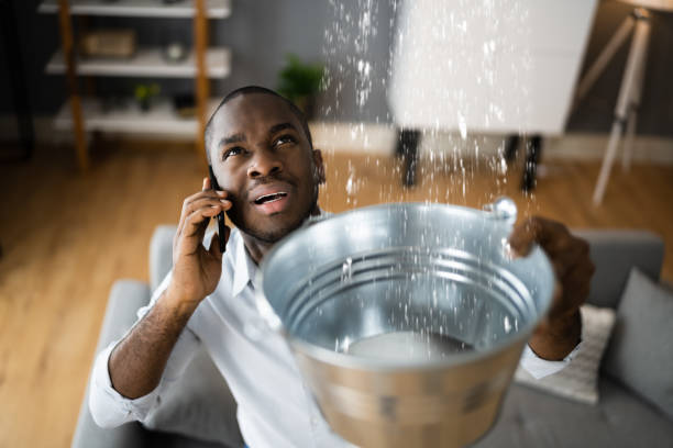 Best Water damage contractors near me  in Ardia, CA