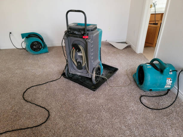 Best Flood restoration services  in Ardia, CA