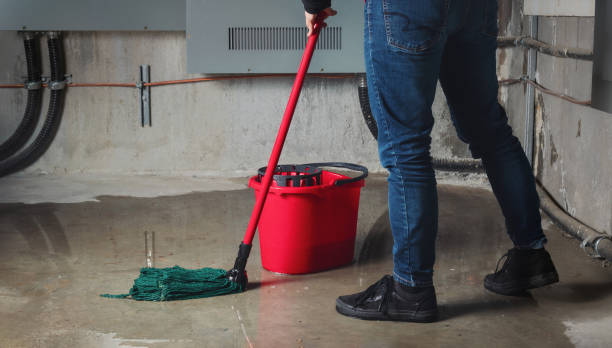Best 24-hour water damage restoration  in Ardia, CA