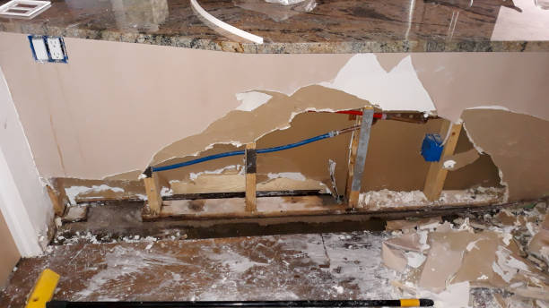 Best Water damage restoration specialists  in Ardia, CA