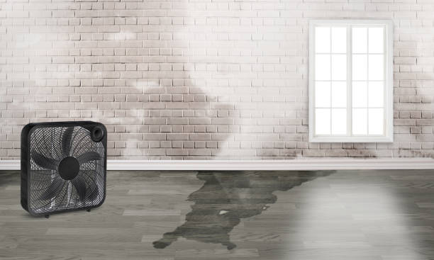 Best Fire Damage Restoration  in Ardia, CA