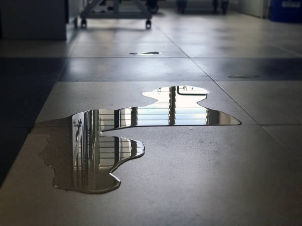 Best Local water damage restoration  in Ardia, CA
