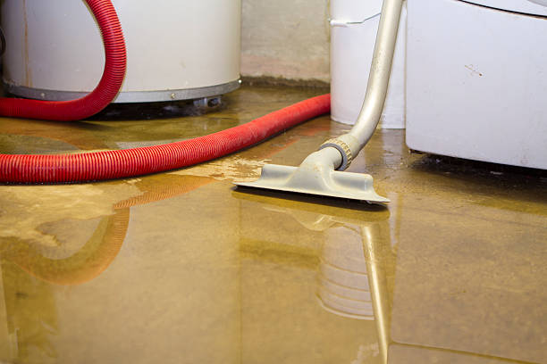 Best Water damage cleanup near me  in Ardia, CA