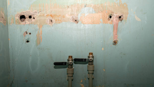 Best Ceiling water damage repair  in Ardia, CA