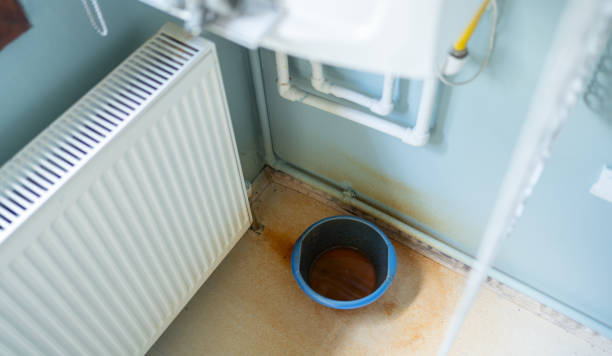 Best Basement water damage restoration  in Ardia, CA