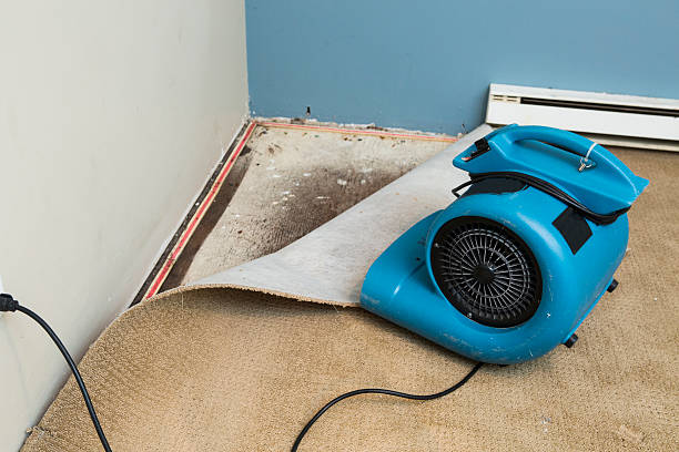 Best Local water damage restoration  in Ardia, CA